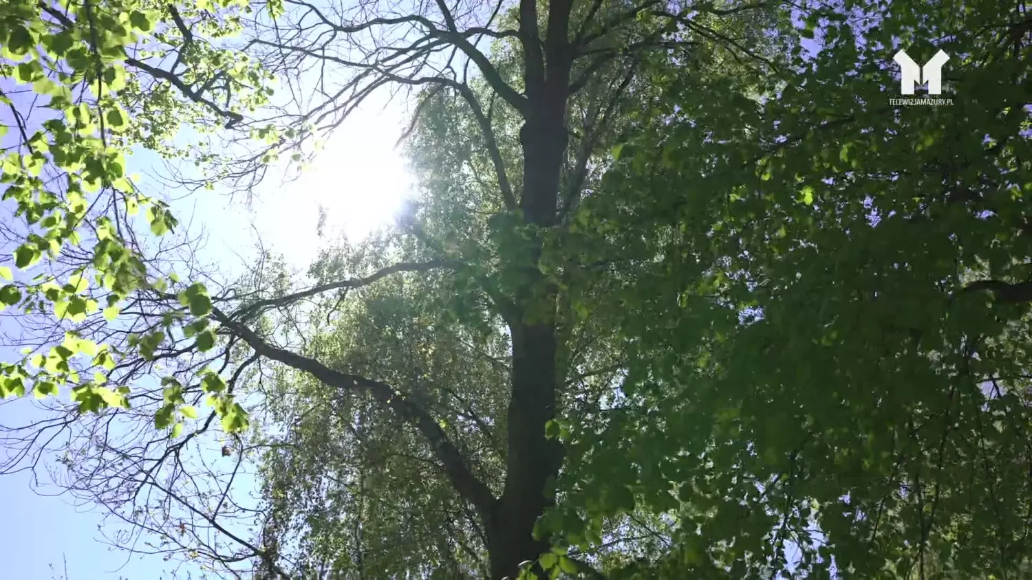 park-drwecki-dla-ludzi-a-nie-dla-smieci.mp4