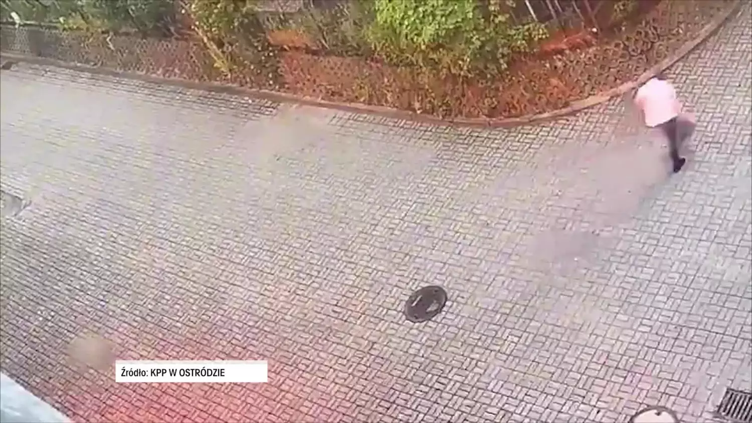 od-dilera-do-podpalacza-em.mp4