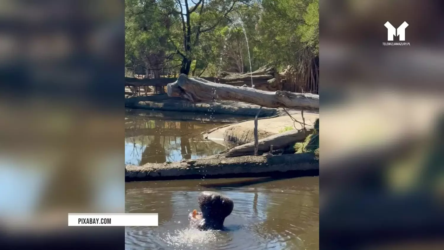 ostatnia-przerwa-w-dostawie-cieplej-wody.mp4