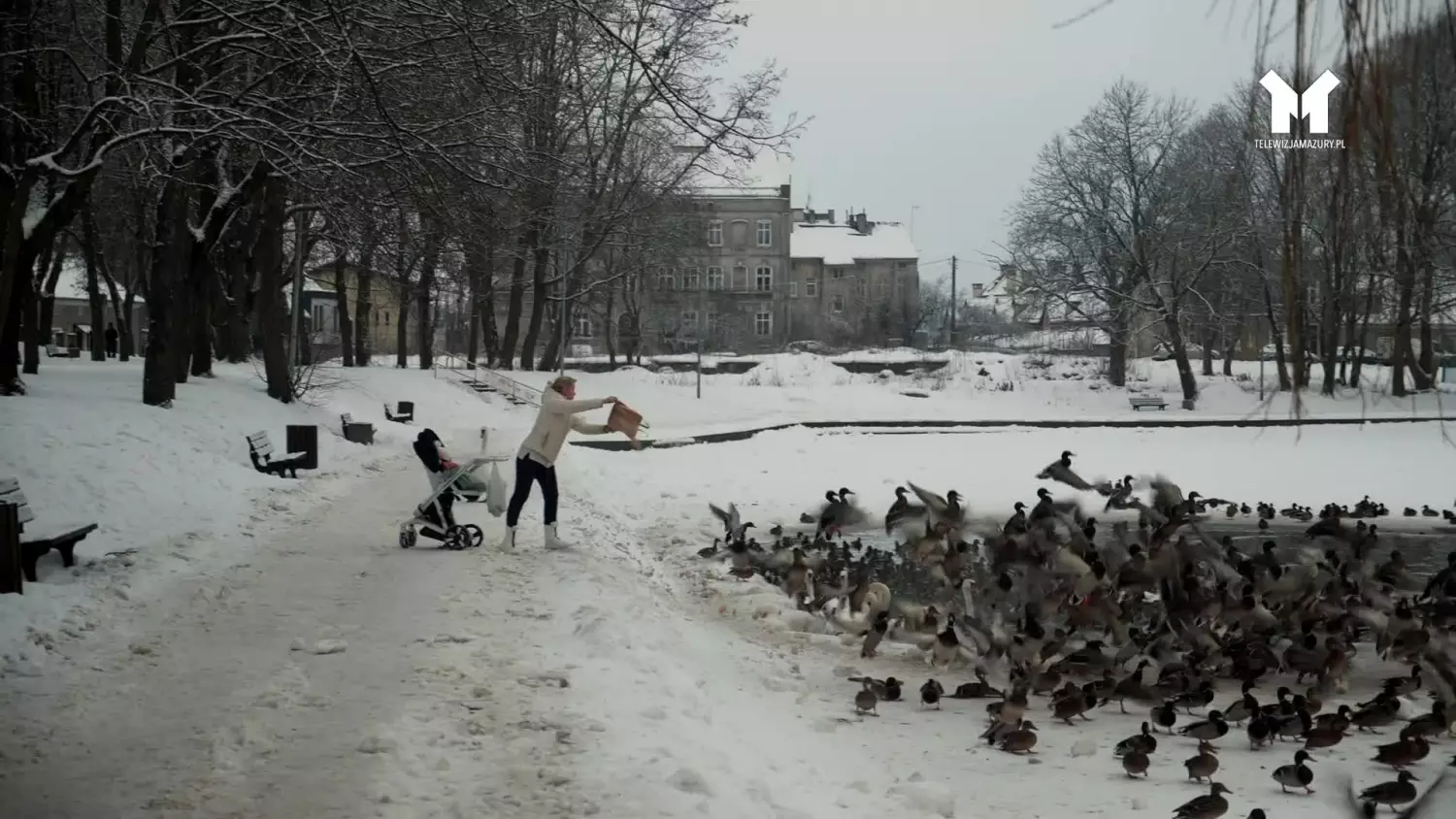 zywe-symbole-ostrody.mp4